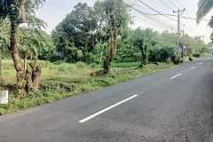 hanbrighton-jual-tanah-kosong-5365m2-kerambitan-tabanan-4