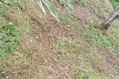 hanbrighton-jual-tanah-siap-bangun-bebas-banjir-180m2-atau-490m2-kerobokan-badung-1