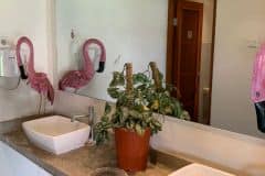 sewa-min-5-th-tempat-usaha-eks-cafe-hadap-timur-10x25-raya-kerobokan-8