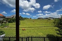 hanbrighton-jual-villa-view-sawah-ff-2-lt-2-kt-bedugul-kerobokan-10