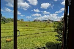 hanbrighton-jual-villa-view-sawah-ff-2-lt-2-kt-bedugul-kerobokan-12