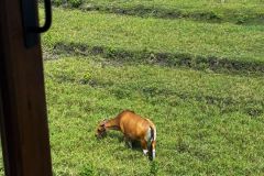 hanbrighton-jual-villa-view-sawah-ff-2-lt-2-kt-bedugul-kerobokan-13