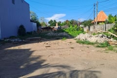 hanbrighton-jual-tanah-murah-4-are-sekar-sari-kertalangu-dentim-2