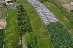 hanbrighton-jual-tanah-pinggir-pantai-460-are-ketewel-gianyar-2