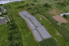 hanbrighton-jual-tanah-pinggir-pantai-460-are-ketewel-gianyar-3