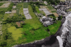 hanbrighton-jual-tanah-pinggir-pantai-460-are-ketewel-gianyar-5