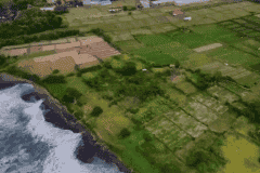 hanbrighton-jual-tanah-pinggir-pantai-460-are-ketewel-gianyar-7