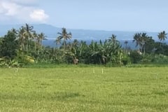 hanbrighton-jual-villa-privat-mewah-2-kt-pantai-gumicik-ketewel-sukawati-gianyar-6