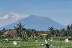 hanbrighton-jual-villa-privat-mewah-2-kt-pantai-gumicik-ketewel-sukawati-gianyar-9