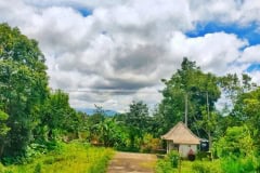 hanbrighton-jual-tanah-5140m2-bonus-bangunan-dan-peternakan-abuan-kintamani-bangli-2