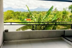 hanbrighton-jual-tanah-5140m2-bonus-bangunan-dan-peternakan-abuan-kintamani-bangli-4