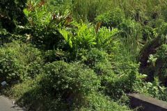 jual-tanah-49-are-sunset-road-kuta-badung-2