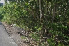 hanbrighton-peluang-investasi-harga-terjangkau-tanah-5750m2-gubug-sari-kutuh-badung-1