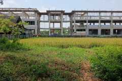 hanbrighton-jual-tanah-25-are-lukluk-mengwi-badung-10
