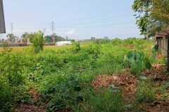 hanbrighton-jual-tanah-25-are-lukluk-mengwi-badung-12