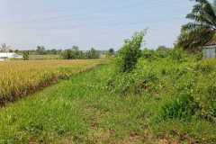 hanbrighton-jual-tanah-25-are-lukluk-mengwi-badung-2