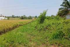 hanbrighton-jual-tanah-25-are-lukluk-mengwi-badung-3
