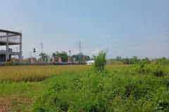 hanbrighton-jual-tanah-25-are-lukluk-mengwi-badung-5