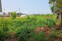 hanbrighton-jual-tanah-25-are-lukluk-mengwi-badung-6