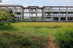 hanbrighton-jual-tanah-25-are-lukluk-mengwi-badung-7