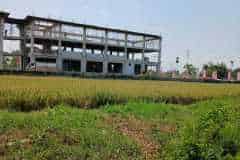 hanbrighton-jual-tanah-25-are-lukluk-mengwi-badung-8