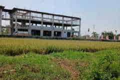 hanbrighton-jual-tanah-25-are-lukluk-mengwi-badung-9