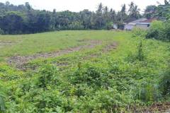 hanbrighton-dijual-tanah-murah-32-are-megati-tabanan-3