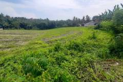 hanbrighton-dijual-tanah-murah-32-are-megati-tabanan-5