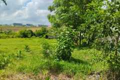 sewa-tanah-647m2-babadan-mengwi-badung-1