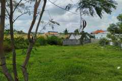 sewa-tanah-647m2-babadan-mengwi-badung-2