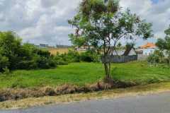 sewa-tanah-647m2-babadan-mengwi-badung-3