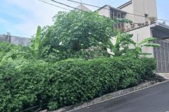 hanbrighton-jual-tanah-4-are-muding-denpasar-barat-1