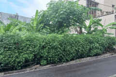 hanbrighton-jual-tanah-4-are-muding-denpasar-barat-2