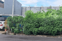 hanbrighton-jual-tanah-4-are-muding-denpasar-barat-3