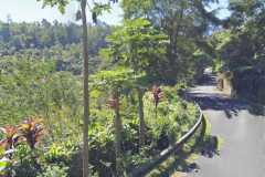 hanbrighton-jual-tanah-144-are-view-pegunungan-hutan-munduk-buleleng-2