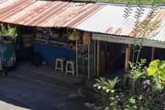 hanbrighton-jual-tanah-144-are-view-pegunungan-hutan-munduk-buleleng-3