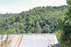 hanbrighton-jual-tanah-144-are-view-pegunungan-hutan-munduk-buleleng-4