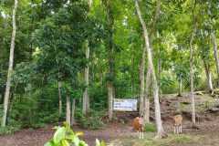 hanbrighton-dijual-tanah-36440m2-baler-bale-agung-negara-jembrana-2