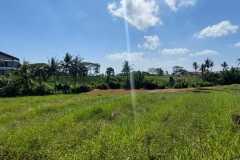 hanbrighton-jual-tanah-4-are-pantai-lima-canggu-pererenan-view-laut-sawah-2