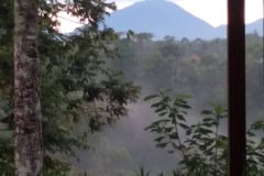 hanbrighton-jual-tanah-138-are-buahan-payangan-gianyar-1