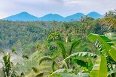 hanbrighton-jual-tanah-138-are-buahan-payangan-gianyar-2