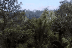 hanbrighton-jual-tanah-138-are-buahan-payangan-gianyar-5