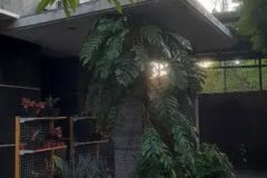 hanbrighton-jual-rumah-elit-nuansa-villa-sesetan-denpasar-5
