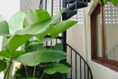 Untitled design - 3