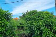 hanbrighton-sewa-min-20-th-tanah-1680m2-tukad-badung-renon-densel-1