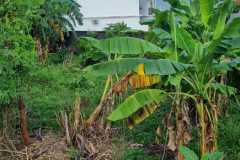 hanbrighton-sewa-min-20-th-tanah-1680m2-tukad-badung-renon-densel-4