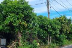 hanbrighton-sewa-min-20-th-tanah-1680m2-tukad-badung-renon-densel-5