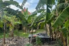 hanbrighton-jual-tanah-217m2-tukad-batanghari-denpasar-3