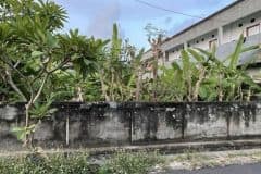 hanbrighton-jual-tanah-483m2-16x30-drupadi-renon-densel-2