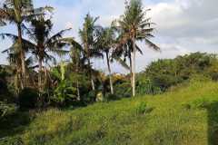 hanbrighton-jual-tanah-418m2-view-sungai-bypass-ida-bagus-mantra-saba-gianyar-3